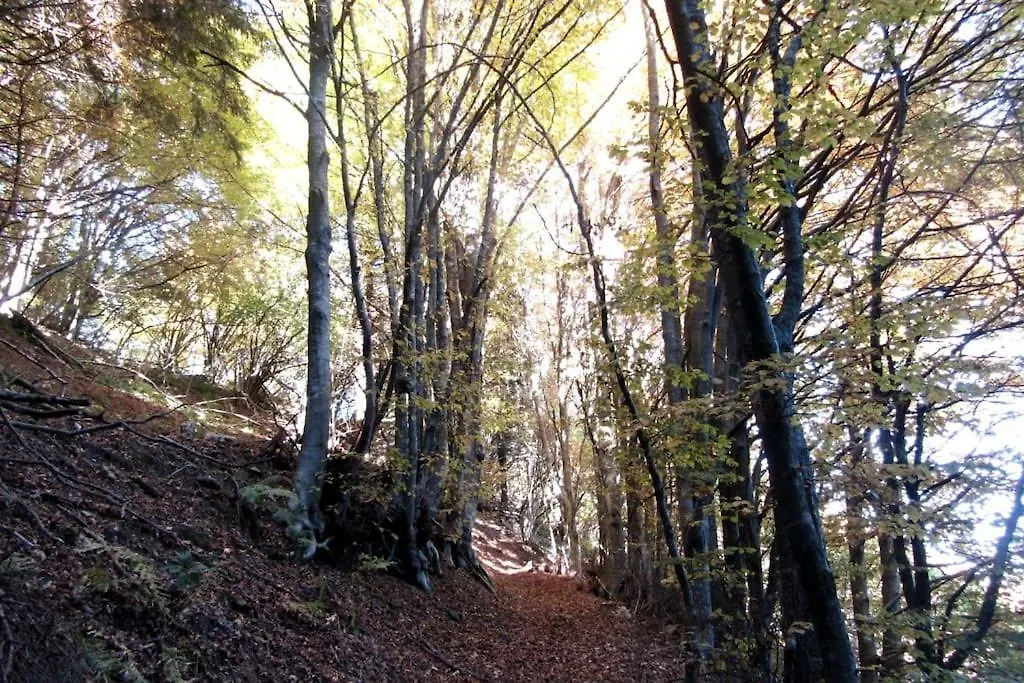 Incino Mountain Home 0*,